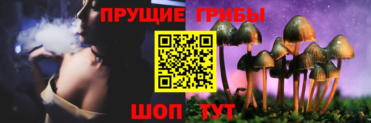 Надым  Галлюциногенные грибы Psilocybine cubensis  Вход с VPN 